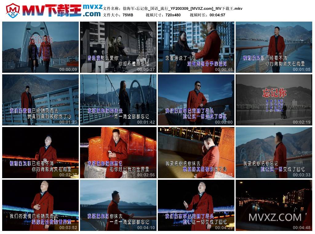 徐海军-忘记你_国语_流行_YF200309